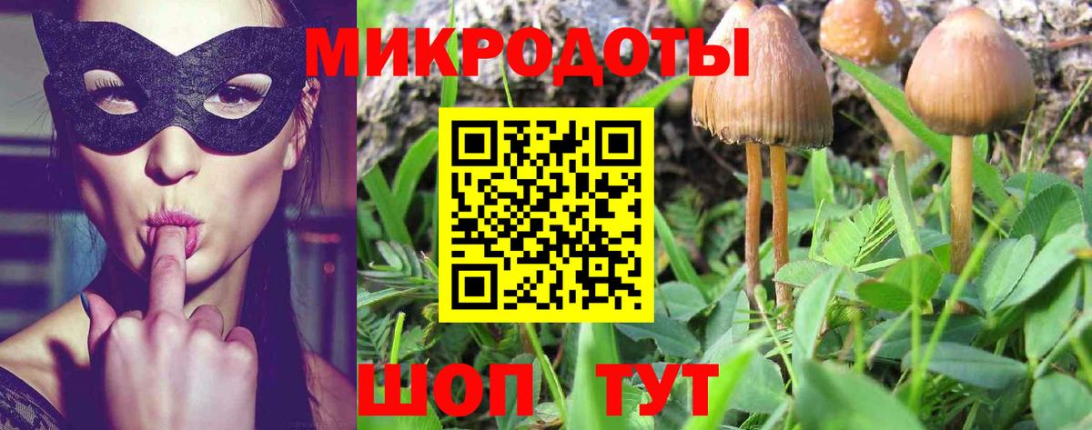 Галлюциногенные грибы мицелий  Вход с VPN  Галлюциногенные грибы Cubensis  Ржев 