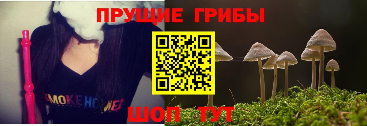 Псилоцибиновые грибы мицелий Ржев
